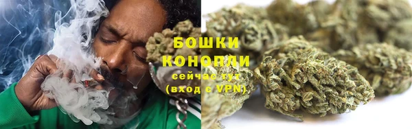 дживик Дмитров