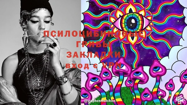 дживик Дмитров