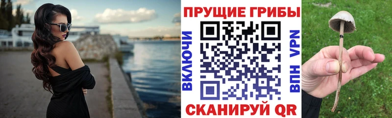 Псилоцибиновые грибы GOLDEN TEACHER  Купить  Белозерск 